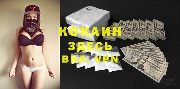 spice Михайлов