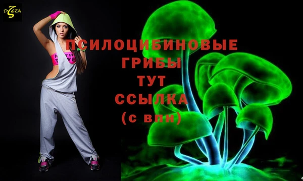 mdpv Михайловск