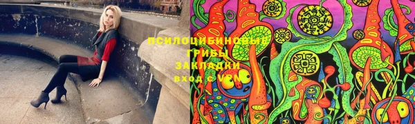 прущие крисы Михайловка