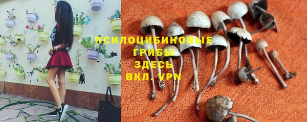 альфа пвп Мегион