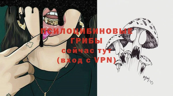 ALPHA PVP Медногорск