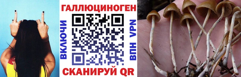 Галлюциногенные грибы Cubensis  Таганрог 