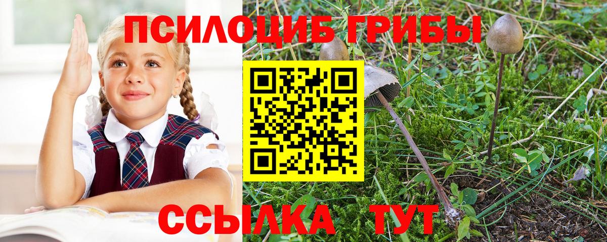 Галлюциногенные грибы прущие грибы Таганрог