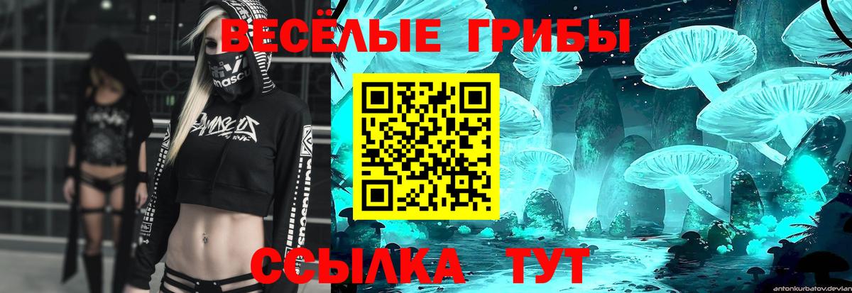 Таганрог  цены наркотик  Вход с VPN  Псилоцибиновые грибы Psilocybine cubensis  Псилоцибиновые грибы GOLDEN TEACHER 